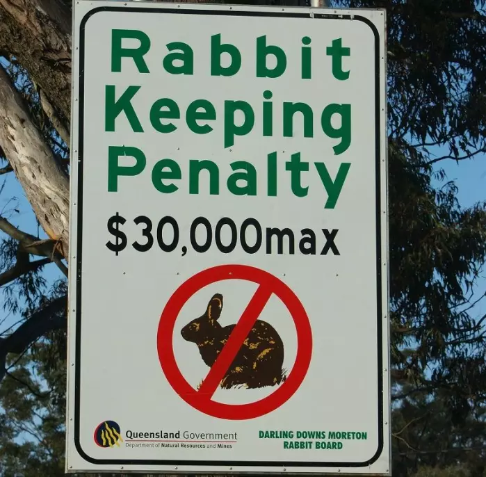This sign is from Queensland, Australia, where there are strict regulations on keeping rabbits, with large fines.