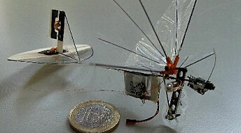 Mikrofly i fluevekt