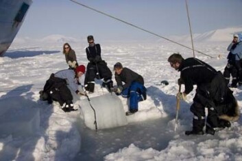 Studenter ved UNIS sjekker istykkelsen i Storfjorden på Svalbard. (Foto: Kjersti Lundmark Daae) Studenter ved UNIS sjekker istykkelsen i Storfjorden på Svalbard. (Foto: Kjersti Lundmark Daae)