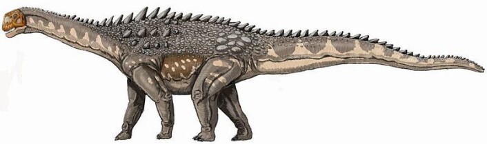 Ampelosaurusen, en pansret titanosaur, levde for 100 - 65 millioner år siden. (Ill. Wikipedia) Ampelosaurusen, en pansret titanosaur, levde for 100 - 65 millioner år siden. (Ill. Wikipedia)