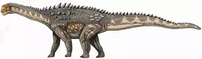 Ampelosaurusen, en pansret titanosaur, levde for 100 - 65 millioner år siden. (Ill. Wikipedia)