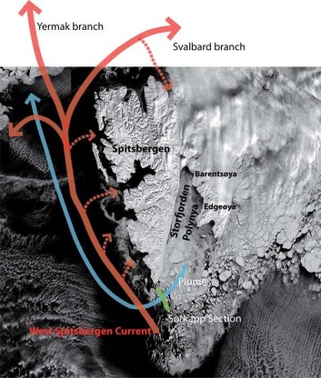 Figur 1 Isfordelingen rundt Svalbard 9. april 2008. (MODIS data, NASA) Figur 1 Isfordelingen rundt Svalbard 9. april 2008. (MODIS data, NASA)