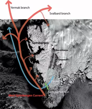 Figur 1 Isfordelingen rundt Svalbard 9. april 2008. (MODIS data, NASA)
