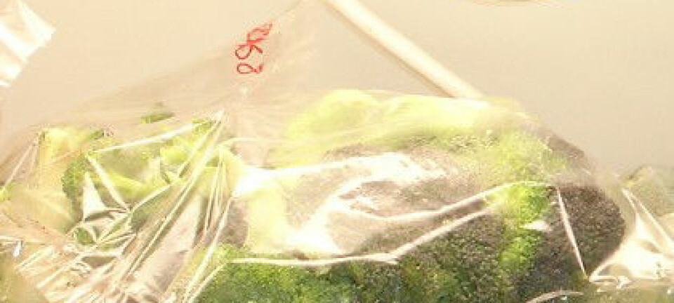 Broccoli utsettes for lys i forsøkene på universitetet i La Rioja.