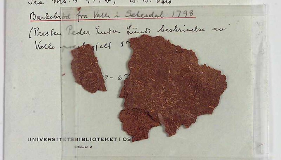 Barkebrød fra Valle i Setesdal. Lagt ved Presten P. L. Lunds beskrivelse av Valle prestegjeld i 1798.