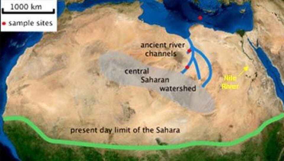 'Kanskje fantes det for 120 000 år siden et nettverk av elver i det østlige Sahara. (Illustrasjon: Anne Osborne, University of Bristol)'