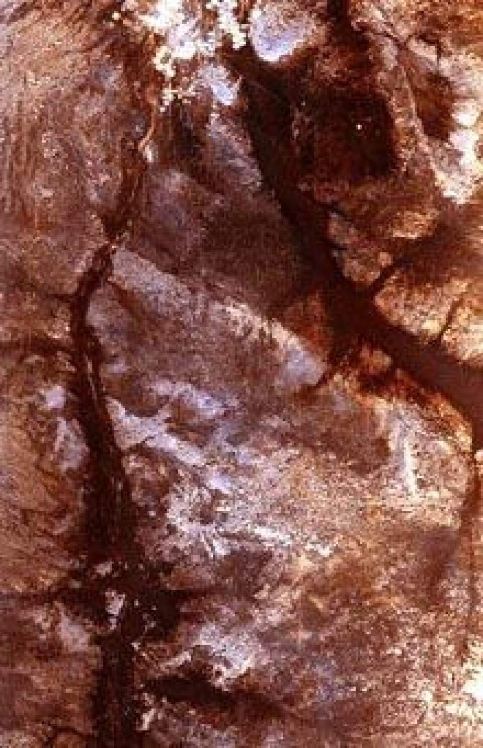 'Satellittbilde av kanalene i Sahara. (Copy: Anne Osborne, University of Bristol)'