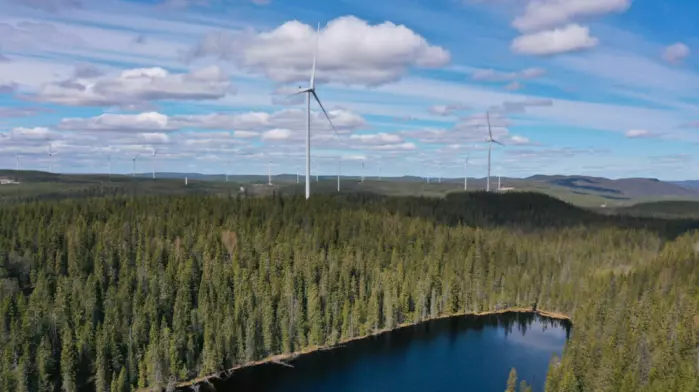 I Sverige kommer nå innpå 20 prosent av elektrisiteten fra vindkraft. Det har bragt strømprisen nedover i nabolandet vårt. Om natten er strømmen nå ofte nesten gratis i Sverige. I Norge kommer rundt 10 prosent av elektrisiteten nå fra vindkraft. Bildet viser det nye store kraftverket Nysäter i Midt-Sverige.