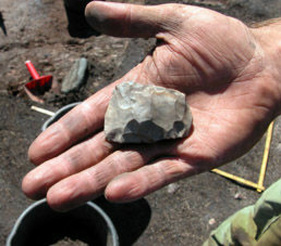 'Skiveøks av flint som kan være opptil 12 000 år gammel.'