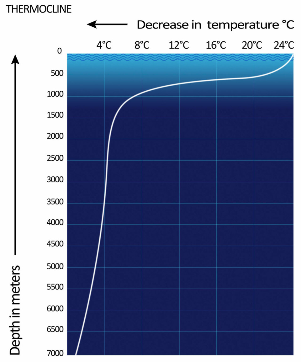The illustration shows drop in temperature by depth. Note the rapid change between 100-1,000 meter depth.