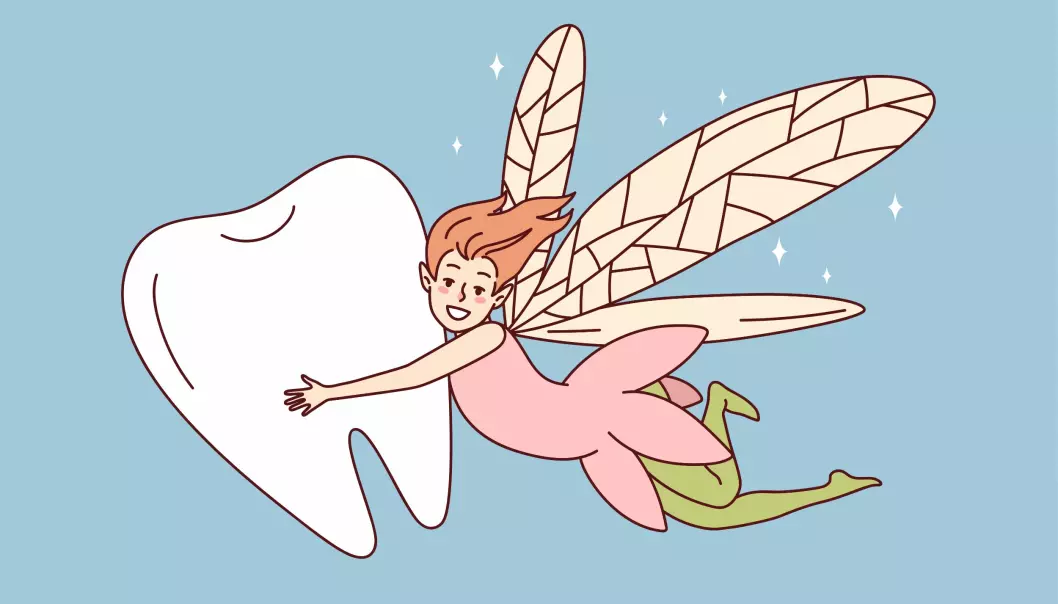 De fleste mener at tannfeen er hunkjønn, og at hun har vinger. I noen land tror de heller på tannmusa.