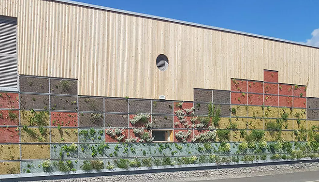 Bygninger med plantekasser på veggene kan bidra til å holde på regnvannet og forsinke det slik at ikke alt vannet oversvømmer bakken.