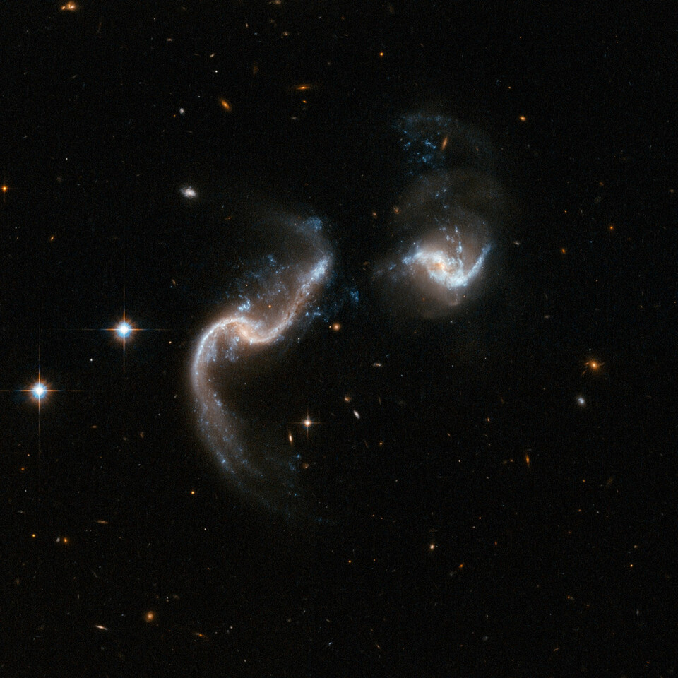 'To spiralgalakser er i ferd med å støte sammen. Bildet viser hvordan galaksene er i ferd med å bli deformert av gravitasjonskreftene. De blå, knuteformete punktene er nyfødte stjerner. Galaksen til venstre på bildet avgir intens infrarød stråling, mer enn hundre milliarder ganger kraftigere enn strålingen fra solen. Galaksene er omlag 350 millioner lysår unna. (Foto: NASA/ESA)'