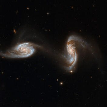 "Romteleskopet har fanget galaksene i det som kan minne om en dans. Begge inneholder ekstremt massive, sorte hull, og det foregår intens stjernedanning. Galaksene er omlag 300 millioner lysår unna. (Foto: NASA/ESA)" "Romteleskopet har fanget galaksene i det som kan minne om en dans. Begge inneholder ekstremt massive, sorte hull, og det foregår intens stjernedanning. Galaksene er omlag 300 millioner lysår unna. (Foto: NASA/ESA)"