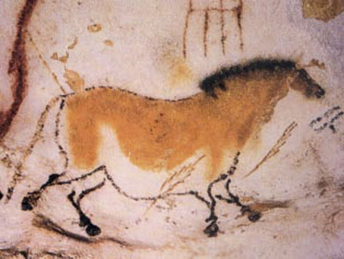 "Rundt 16 000 år gammelt maleri av hest fra hulene i Lascaux i Sør-Frankrike. (Foto: Wikimedia Commons)" "Rundt 16 000 år gammelt maleri av hest fra hulene i Lascaux i Sør-Frankrike. (Foto: Wikimedia Commons)"