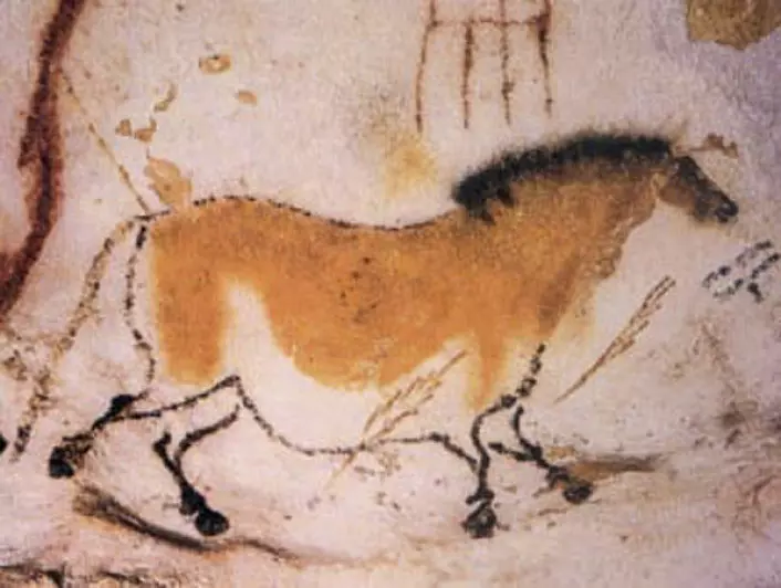 "Rundt 16 000 år gammelt maleri av hest fra hulene i Lascaux i Sør-Frankrike. (Foto: Wikimedia Commons)"