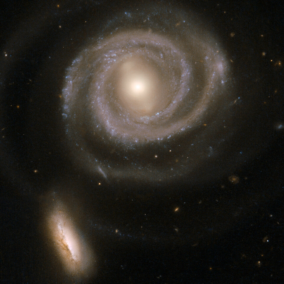 'Størrelsen har mye å si for utfallet når to galakser nærmer seg hverandre. Den store spiralgalaksen er nesten ikke påvirket av møtet, mens den lille begynner å bli utflytende i formen. Den lille galaksen inneholder mange svært store og lyssterke stjerner i de midtre områdene. Galaksene er omlag 200 millioner lysår unna. (Foto: NASA/ESA)'