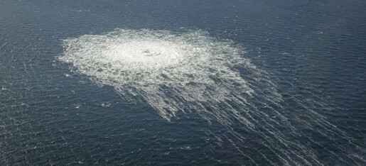 Forsker: – Aldri vært større grunn til å ødelegge norske gassleveranser Forsker: – Aldri vært større grunn til å ødelegge norske gassleveranser