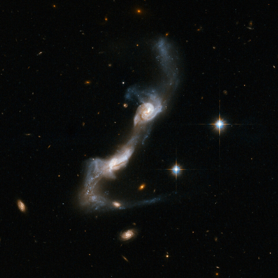 'De to spiralgalaksene er under sterk påvirkning fra hverandre. En tydelig bro, som kan bestå av gasser og partikler, er etablert. Hver galakse har også kastet en lang hale ut i verdensrommet. Galaksene er omlag 400 millioner lysår unna. (Foto: NASA/ESA)'