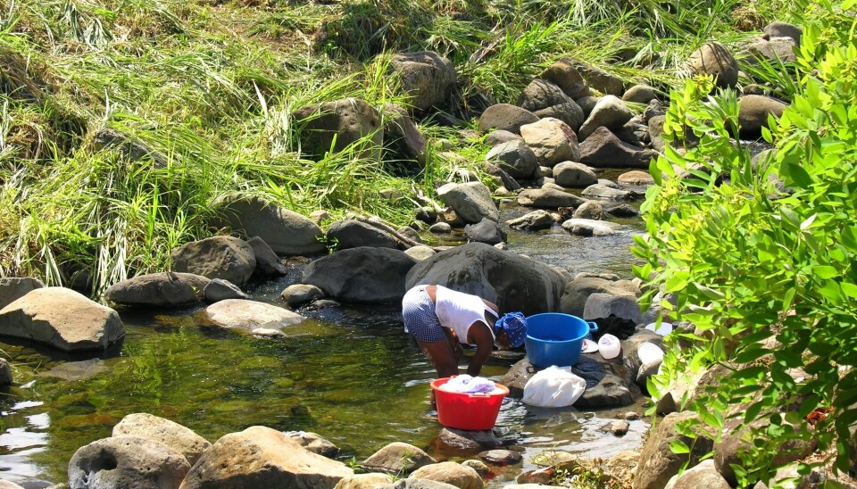 In Africa, around 300 million girls and women are at risk of acquiring female genital schistosomiasis (FGS). The disease is caused by parasitic Schistosoma worms that live in fresh water and infect through the skin.