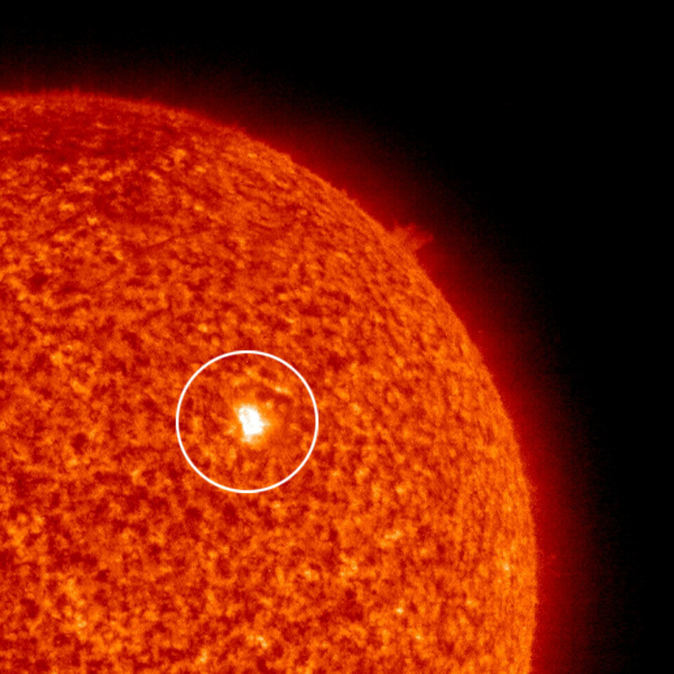 'Dette bildet fra SOHO-observatoriet ble tatt 23. september 2008. Det viser den første nye solflekken som er observert siden 10. mai i år. Etter noen dager forsvant solflekken igjen. Forskerne vet ennå ikke om solflekken virkelig markerte starten på en ny solsyklus.(Foto: NASA/JPL-Caltech)'
