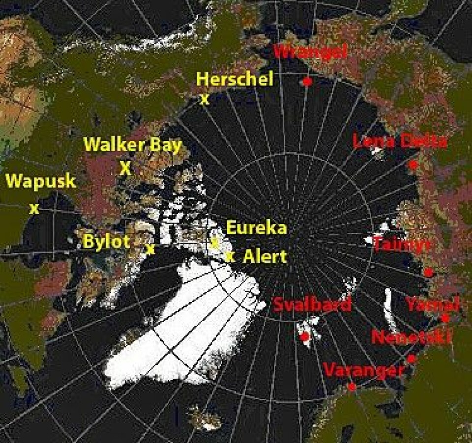 Feltlokalitetene til Polarårprosjektet 'Arctic Predators'.