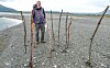 7,000 year old fish traps discovered in the Norwegian mountains