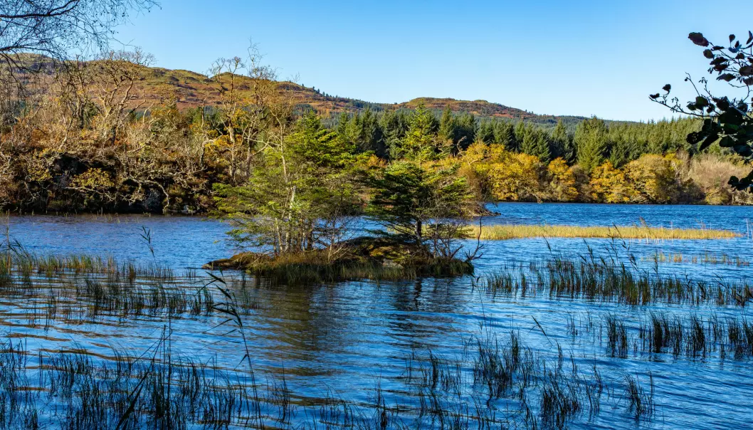 En kunstig, menneskeskapt øy i innsjøen Loch Coille-Bharr i Skottland. Den kan sannsynligvis dateres til bronsealderen.