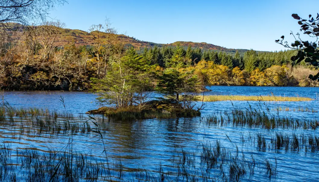 En kunstig, menneskeskapt øy i innsjøen Loch Coille-Bharr i Skottland. Den kan sannsynligvis dateres til bronsealderen. En kunstig, menneskeskapt øy i innsjøen Loch Coille-Bharr i Skottland. Den kan sannsynligvis dateres til bronsealderen.