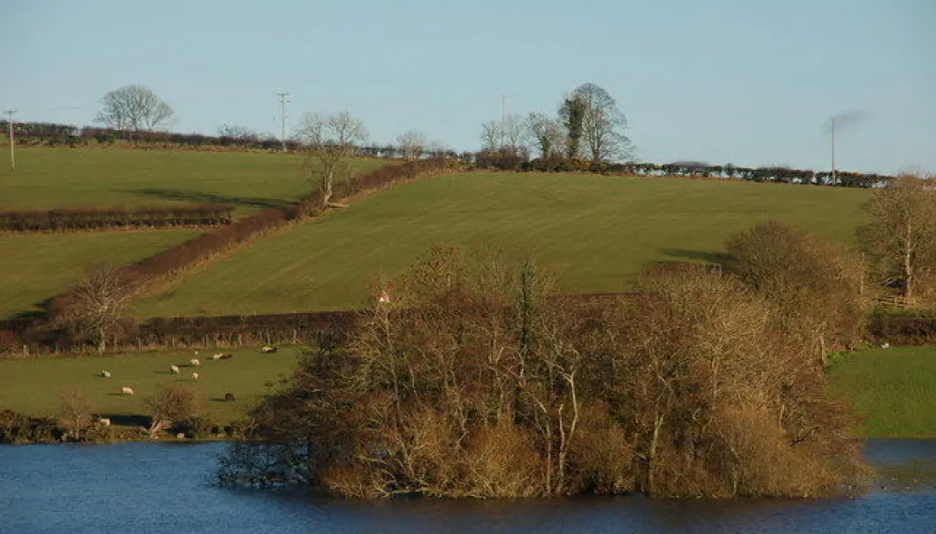 Et annet eksempel på en crannog. Denne ligger i Loughbrickland-innsjøen i Nord-Irland. Et annet eksempel på en crannog. Denne ligger i Loughbrickland-innsjøen i Nord-Irland.