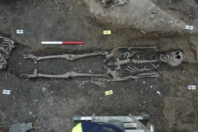 Denne kvinnen ble funnet under utgravingen av St. Clemens kirkegård i København i 2008 og levde i tidlig middelalder. Hun er en av 16 skjelettene fra Københavns Museum som inngår i den nye studien.