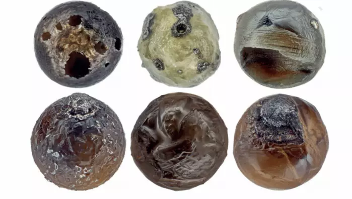 Porfyrittisk olivin-mikrometeoritter (PO) inneholder store olivin-krystaller som sitter i glass. De kan se helt ulike ut – alt fra jevnt fordelte små krystaller av økende størrelse til bare noen få store krystaller. De varierer i farge: Fra svart, som er vanligst, til brun, grønn og fargeløs.