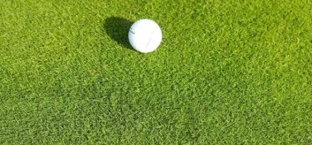 Golfgraset hundekvein. (Foto: Trygve S. Aamlid) Golfgraset hundekvein. (Foto: Trygve S. Aamlid)