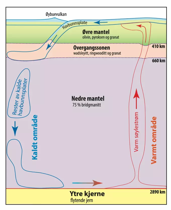 Denne illustrasjonen viser inndelingen av jordkloden. Helt ytterst ligger jordskorpa. Lengst inn er kjernen. Botswana-diamanten med de vannholdige mineralene, ble dannet nær grensen mellom overgangssonen og den nedre mantelen, 660 kilometer nede i dypet. Legg merke til havbunnsplaten. Det er disse platene som forskerne mener tar med seg vannet ned i mantelen. Det store strømningsmønsteret i jordkloden med havbunn som forsvinner ned og varm stein som kommer opp igjen, ser du også.