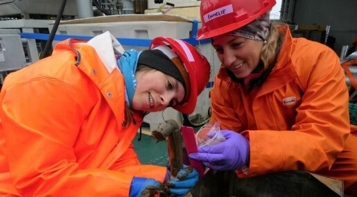 Metangass frå havbotn skapar artsmangfald Metangass frå havbotn skapar artsmangfald