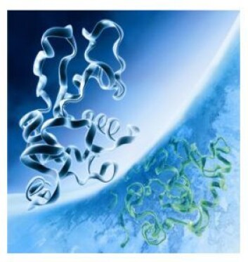 To strukturelt like protein med ulik funksjon. (Foto: Karn Bryhn og Øyvind Halskau) To strukturelt like protein med ulik funksjon. (Foto: Karn Bryhn og Øyvind Halskau)