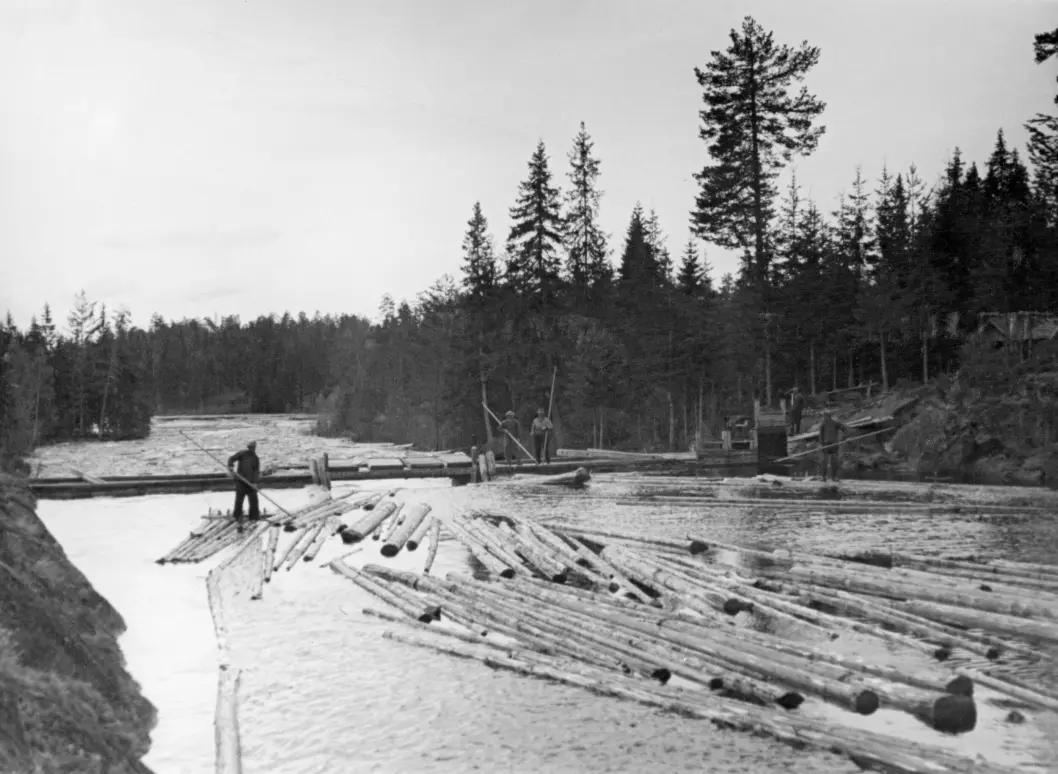 Legg merke til mannen som står på tømmeret. Tømmerfløting var en viktig del av skogsarbeideryrket. Dette bildet er fra Haugsåvassdraget i Nord-Odal i 1936.