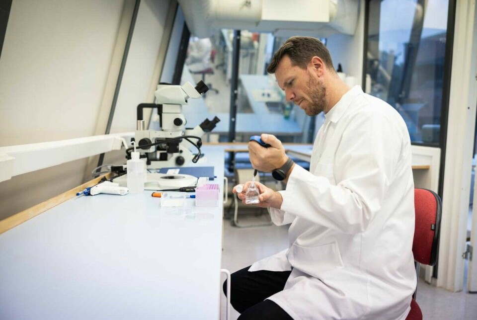 In the laboratory at UiA, Stian Borg-Stoveland cultivates microalgae in wastewater. If this is used more, the industry can become more self-sufficient and the coastal area spared emissions.
