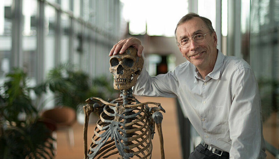 Svante Pääbo ble denne uken belønnet med nobelprisen i fysiologi eller medisin for sin forskning på hva som skiller neandertalere og moderne mennesker.