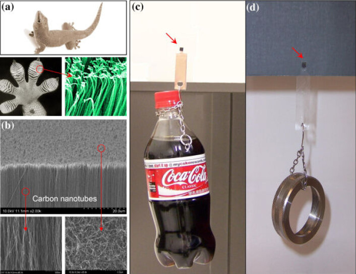 Gekkotape (Illustrasjon: Science/AAAS) Gekkotape (Illustrasjon: Science/AAAS)