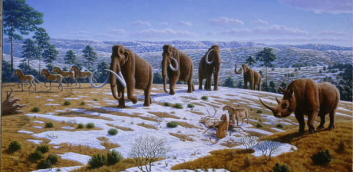 "Megafauna: Mammutene levde blant ullhårete neshorn, sabeltanntigere og en rekke andre dyr som i dag er forsvunnet. Men hvorfor forsvant de? (Illustrasjon: Mauricio Anton)" "Megafauna: Mammutene levde blant ullhårete neshorn, sabeltanntigere og en rekke andre dyr som i dag er forsvunnet. Men hvorfor forsvant de? (Illustrasjon: Mauricio Anton)"