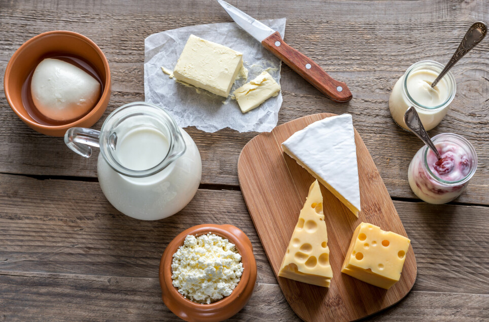 Melkeprodukter blir ofte vurdert som én gruppe, Men forskning antyder at ulike produkter, som melk og ost, har ulik innvirkning på helsa.