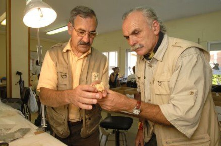 "José Ma Bermúdez de Castro og Eudald Carbonell som ledet utgravingene. (Foto EIA/Jordi Mestre)." "José Ma Bermúdez de Castro og Eudald Carbonell som ledet utgravingene. (Foto EIA/Jordi Mestre)."