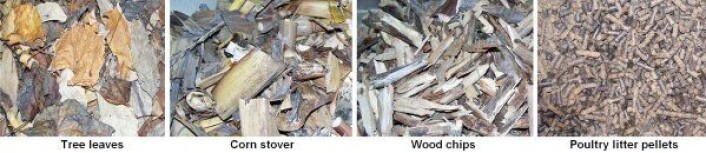 "Råmaterialer for å lage biokull: Løv, maisblad og -stilker, trebiter, og pellets av avføring fra fjærkre. (Foto: Mingxin Guo)" "Råmaterialer for å lage biokull: Løv, maisblad og -stilker, trebiter, og pellets av avføring fra fjærkre. (Foto: Mingxin Guo)"