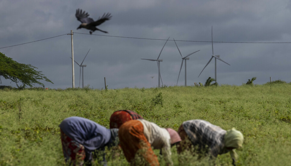 Verden trenger langt mer fornybar energi, ifølge FN-organisasjonen WMO. Her fra et landbruksområde i den indiske delstaten Andhra Pradesh, med vindmøller i bakgrunnen.