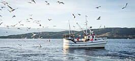 Kystfisket kan sikre at hele befolkningen får sjømat i krisetider