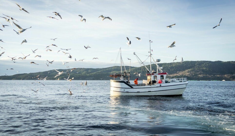 Fangsten fra småskalafiskeriet kan gi hele befolkningen på fem millioner mennesker ett til to måltider med sjømat hver uke. Det tilsvarer cirka 360 gram per person.