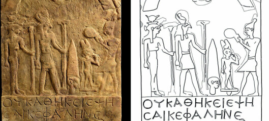 Hodeløse falker funnet i egyptiske templer