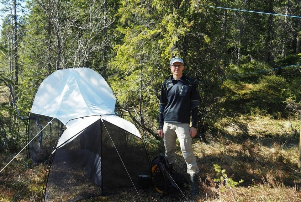 Professor Torbjørn Ekrem with a malaise trap that is used to catch insects.