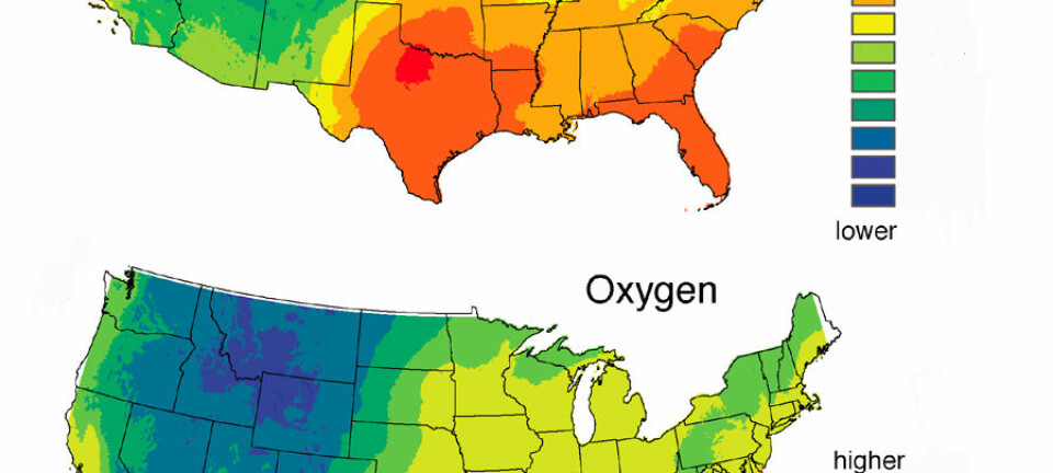 "Områdetkartet som viser forholdet mellom hydrogen- og oksygenisotopene i hodehår og vann i ulike deler av USA. Illustrasjon: University of Utah."